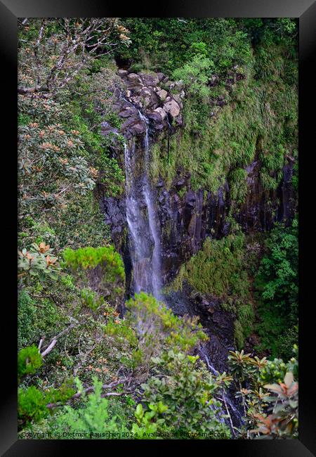 Alexandra Falls Waterfall in Mauritius Framed Print by Dietmar Rauscher