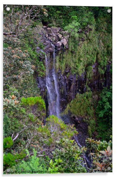 Alexandra Falls Waterfall in Mauritius Acrylic by Dietmar Rauscher