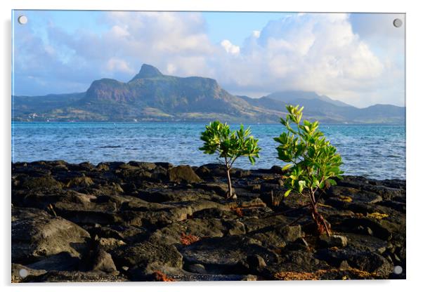 Coast of Mauritius near Mahebourg Acrylic by Dietmar Rauscher