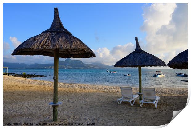 Beach and Palm Trees on Preskil Island, Mauritius in the Morning Print by Dietmar Rauscher