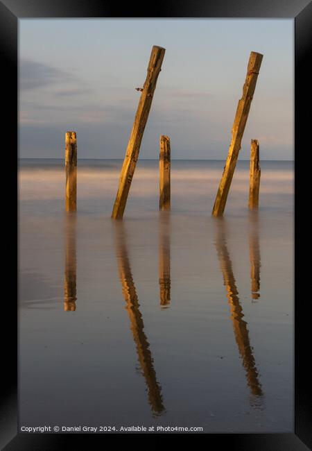 The Posts  Framed Print by Daniel Gray