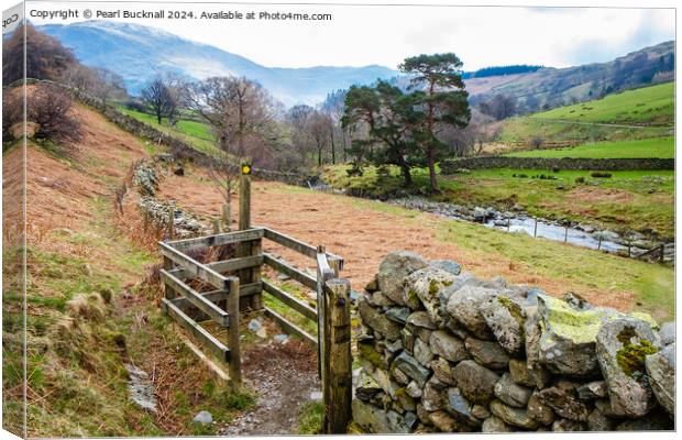 A Country Walk, Glenridding Lake District Cumbria Canvas Print by Pearl Bucknall