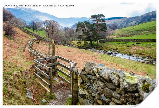 A Country Walk, Glenridding Lake District Cumbria Print by Pearl Bucknall
