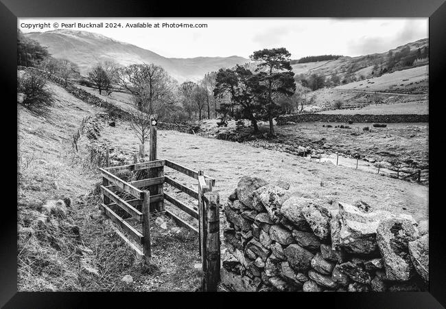 Walking in Lake District Cumbria black and white Framed Print by Pearl Bucknall