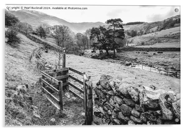 Walking in Lake District Cumbria black and white Acrylic by Pearl Bucknall