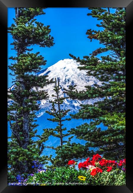 Colorful Flowers Mount Rainier Crystal Mountain Lookout Pierce C Framed Print by William Perry