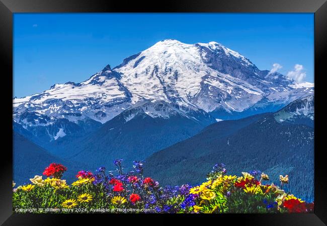 Colorful Flowers Mount Rainier Crystal Mountain Lookout Pierce C Framed Print by William Perry