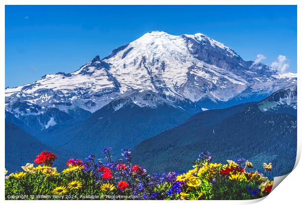 Colorful Flowers Mount Rainier Crystal Mountain Lookout Pierce C Print by William Perry