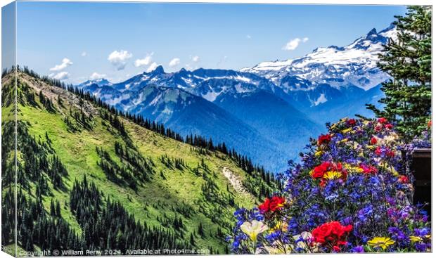 Colorful Flowers Mount Rainier Crystal Mountain Lookout Washingt Canvas Print by William Perry
