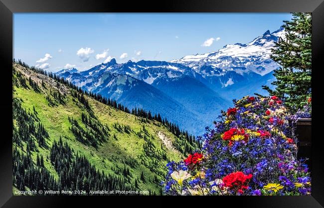Colorful Flowers Mount Rainier Crystal Mountain Lookout Washingt Framed Print by William Perry