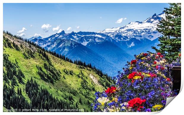 Colorful Flowers Mount Rainier Crystal Mountain Lookout Washingt Print by William Perry
