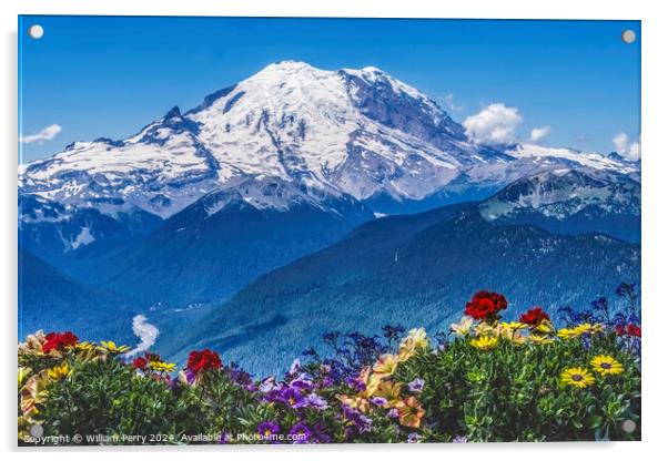 Colorful Flowers Mount Rainier Crystal Mountain Lookout Pierce C Acrylic by William Perry