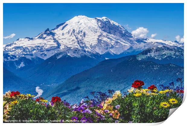 Colorful Flowers Mount Rainier Crystal Mountain Lookout Pierce C Print by William Perry