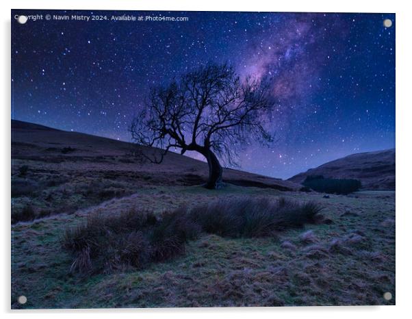 Starlit Frandy Tree, Glendevon, Perthshire, Scotla Acrylic by Navin Mistry