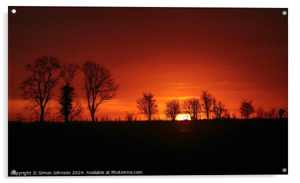 Tree silhouette sunrise Acrylic by Simon Johnson