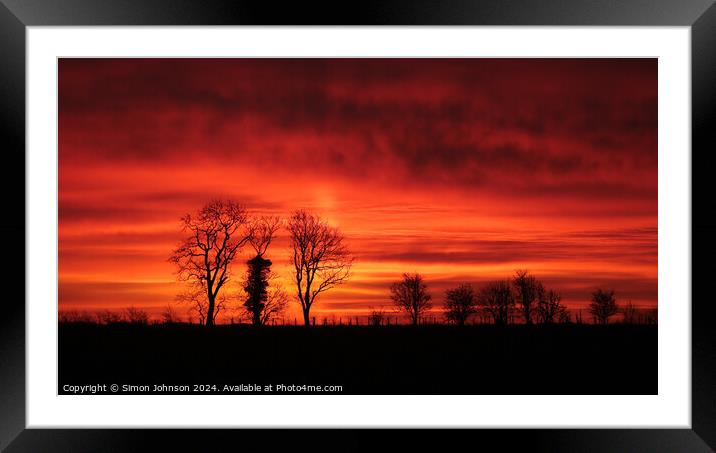 Tree silhouettes  Framed Mounted Print by Simon Johnson