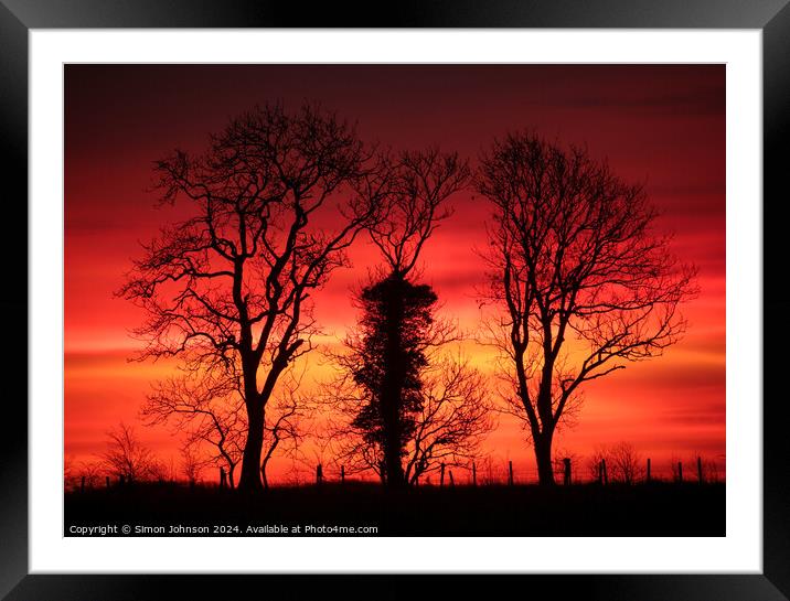 Tree silhouettes at sunrise  Framed Mounted Print by Simon Johnson