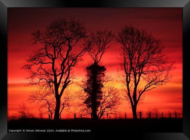 Tree silhouettes at sunrise  Framed Print by Simon Johnson