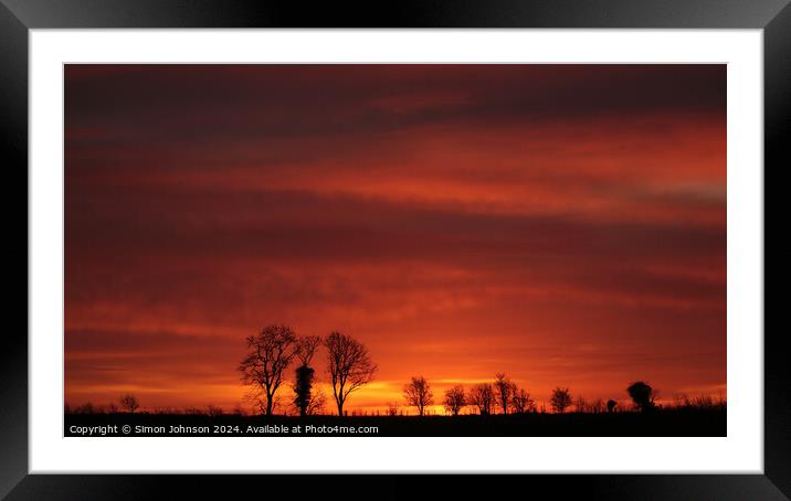 Tree silhouettes at sunrise  Framed Mounted Print by Simon Johnson