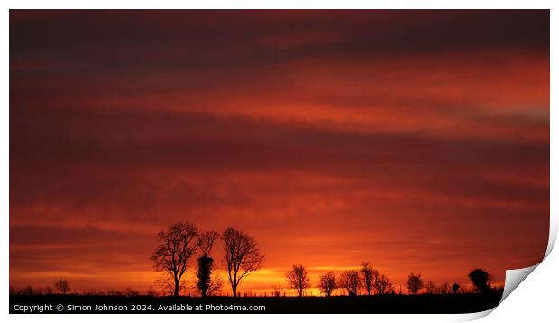 Tree silhouettes at sunrise  Print by Simon Johnson