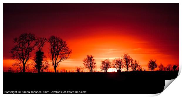 A tree with a sunset in the background Print by Simon Johnson