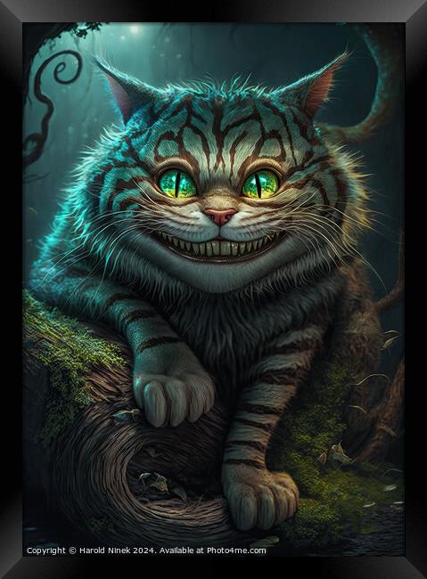 Cheshire Cat Framed Print by Harold Ninek