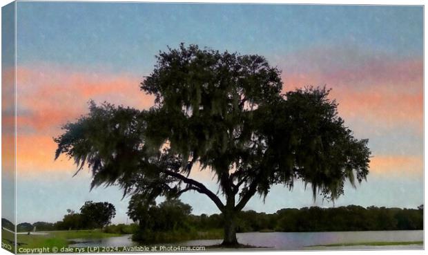 lone tree florida Canvas Print by dale rys (LP)