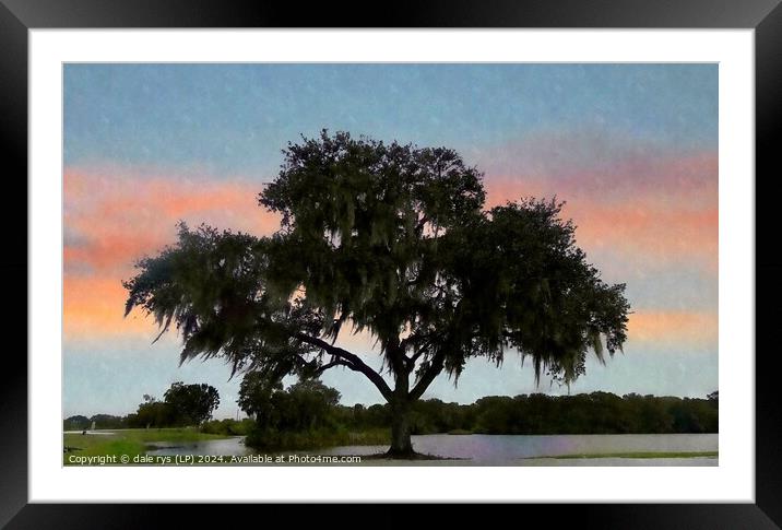 lone tree florida Framed Mounted Print by dale rys (LP)