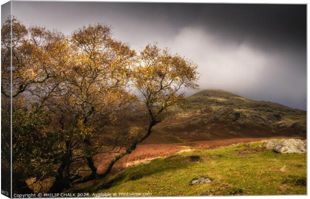 Autumn in the lake district 1033 Canvas Print by PHILIP CHALK