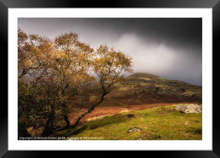 Autumn in the lake district 1033 Framed Mounted Print by PHILIP CHALK