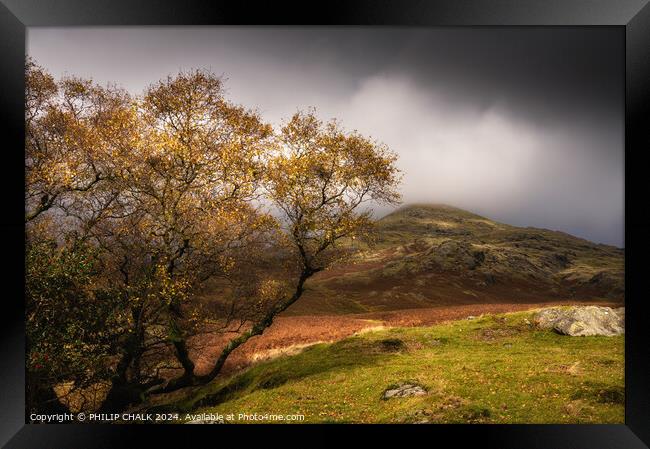Autumn in the lake district 1033 Framed Print by PHILIP CHALK