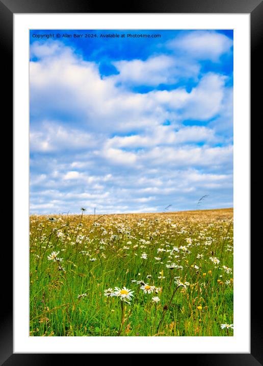 English Meadow on the South Downs Framed Mounted Print by Alan Barr