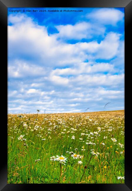 English Meadow on the South Downs Framed Print by Alan Barr