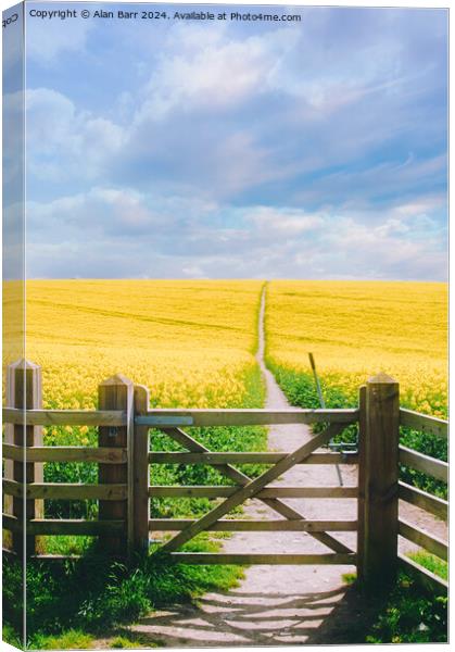 South Downs Summer Rapeseed field Canvas Print by Alan Barr