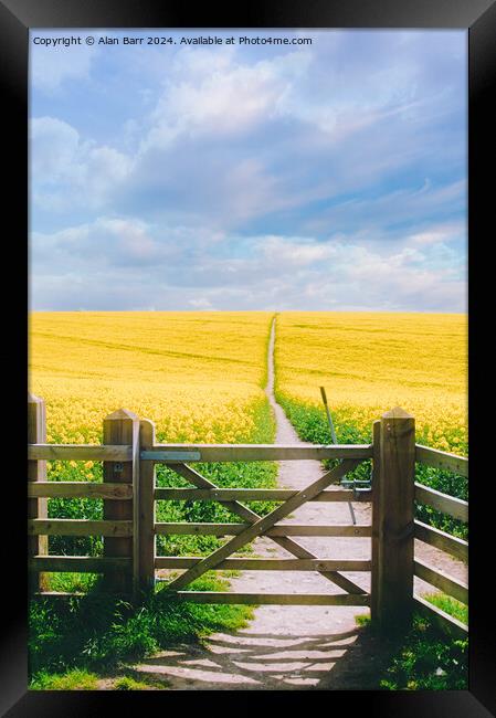 South Downs Summer Rapeseed field Framed Print by Alan Barr