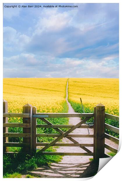 South Downs Summer Rapeseed field Print by Alan Barr