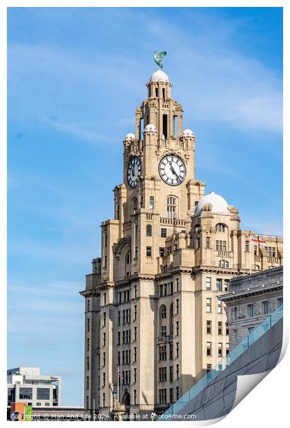 Royal Liver Building Print by Man And Life