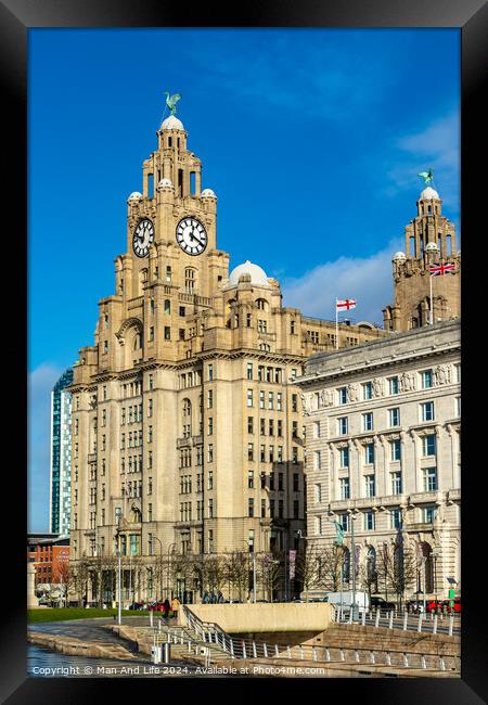 Royal Liver Building Framed Print by Man And Life