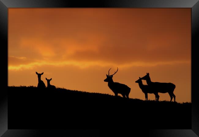 Strathglass Silhouettes Framed Print by Macrae Images