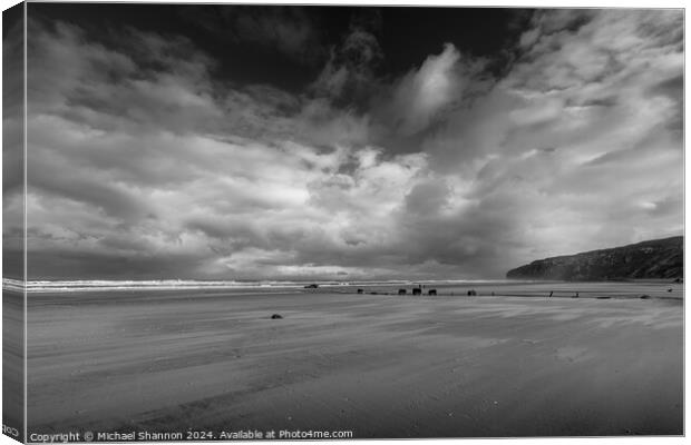 Reighton / Speeton Sands in Filey Bay Canvas Print by Michael Shannon