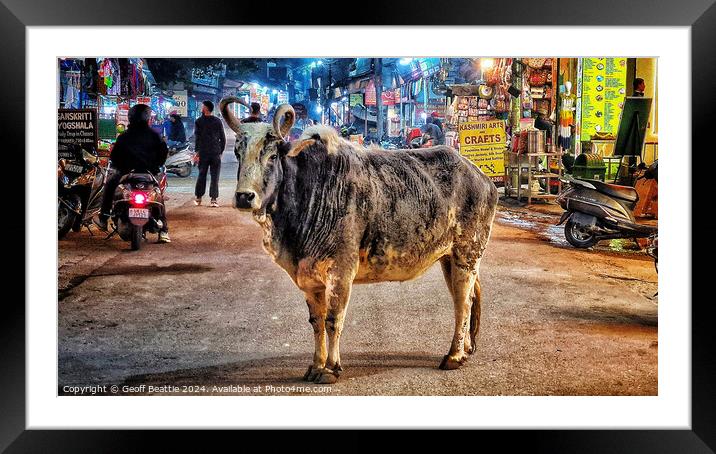 A cow walking down the street in Rishikesh, India Framed Mounted Print by Geoff Beattie