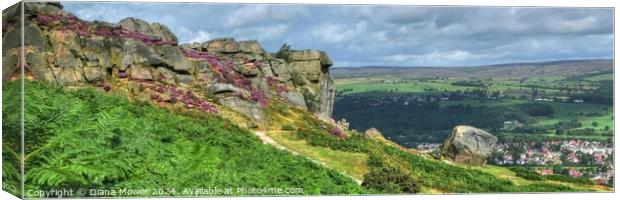 The Cow and Calf Ilkley Panoramic Canvas Print by Diana Mower