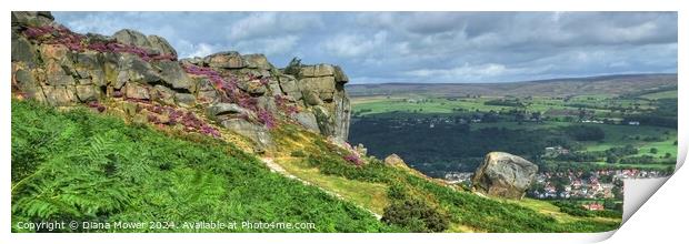 The Cow and Calf Ilkley Panoramic Print by Diana Mower