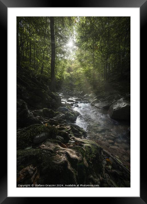 Stream in Acquerino nature reserve forest. Tuscany region, Italy Framed Mounted Print by Stefano Orazzini