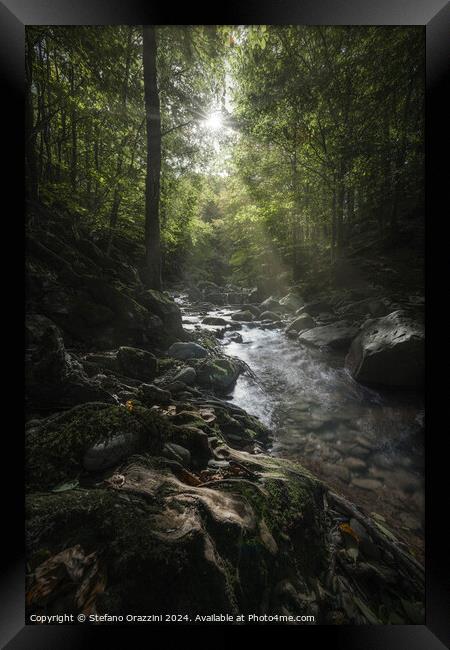 Stream in Acquerino nature reserve forest. Tuscany region, Italy Framed Print by Stefano Orazzini