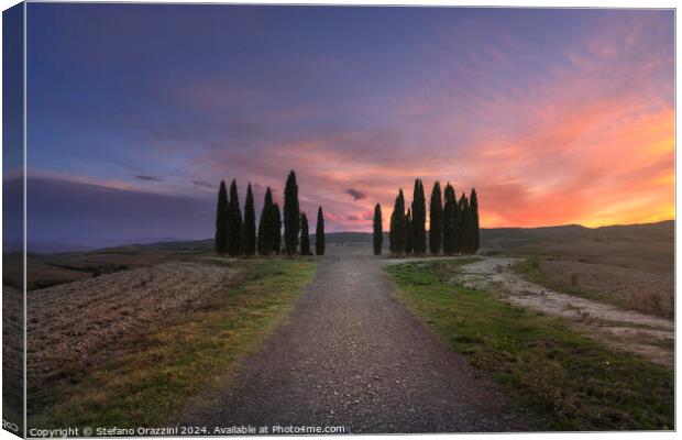 The circle of cypresses of Val d'Orcia, Tuscany Canvas Print by Stefano Orazzini