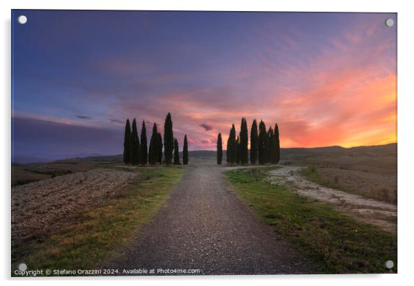The circle of cypresses of Val d'Orcia, Tuscany Acrylic by Stefano Orazzini
