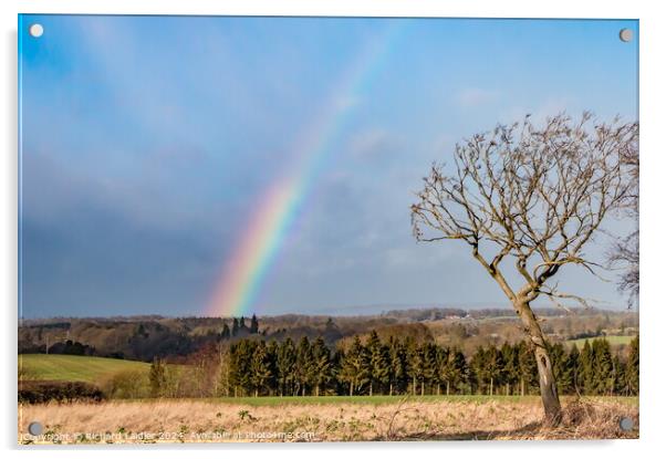 Westwick Rainbow  Acrylic by Richard Laidler