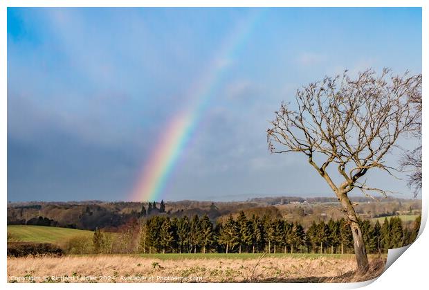 Westwick Rainbow  Print by Richard Laidler