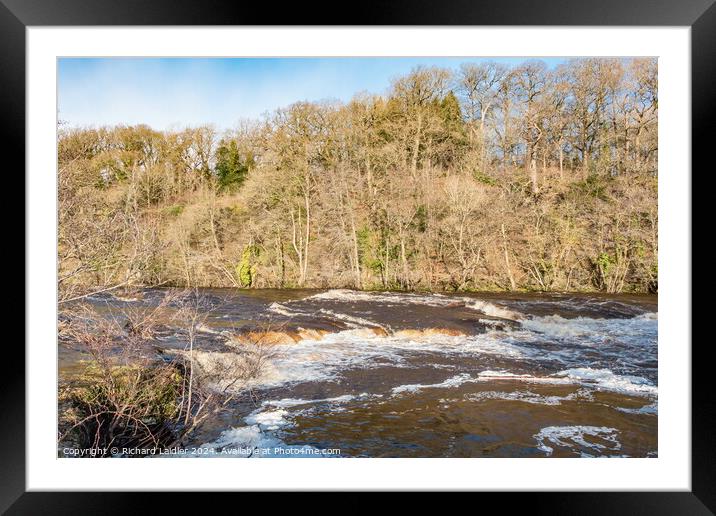 Swollen River Tees at Whorlton Framed Mounted Print by Richard Laidler